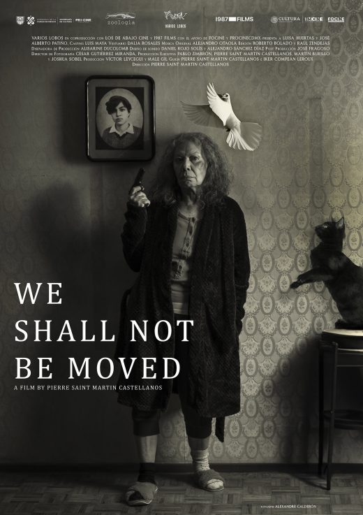 Poster: We Shall Not Be Moved