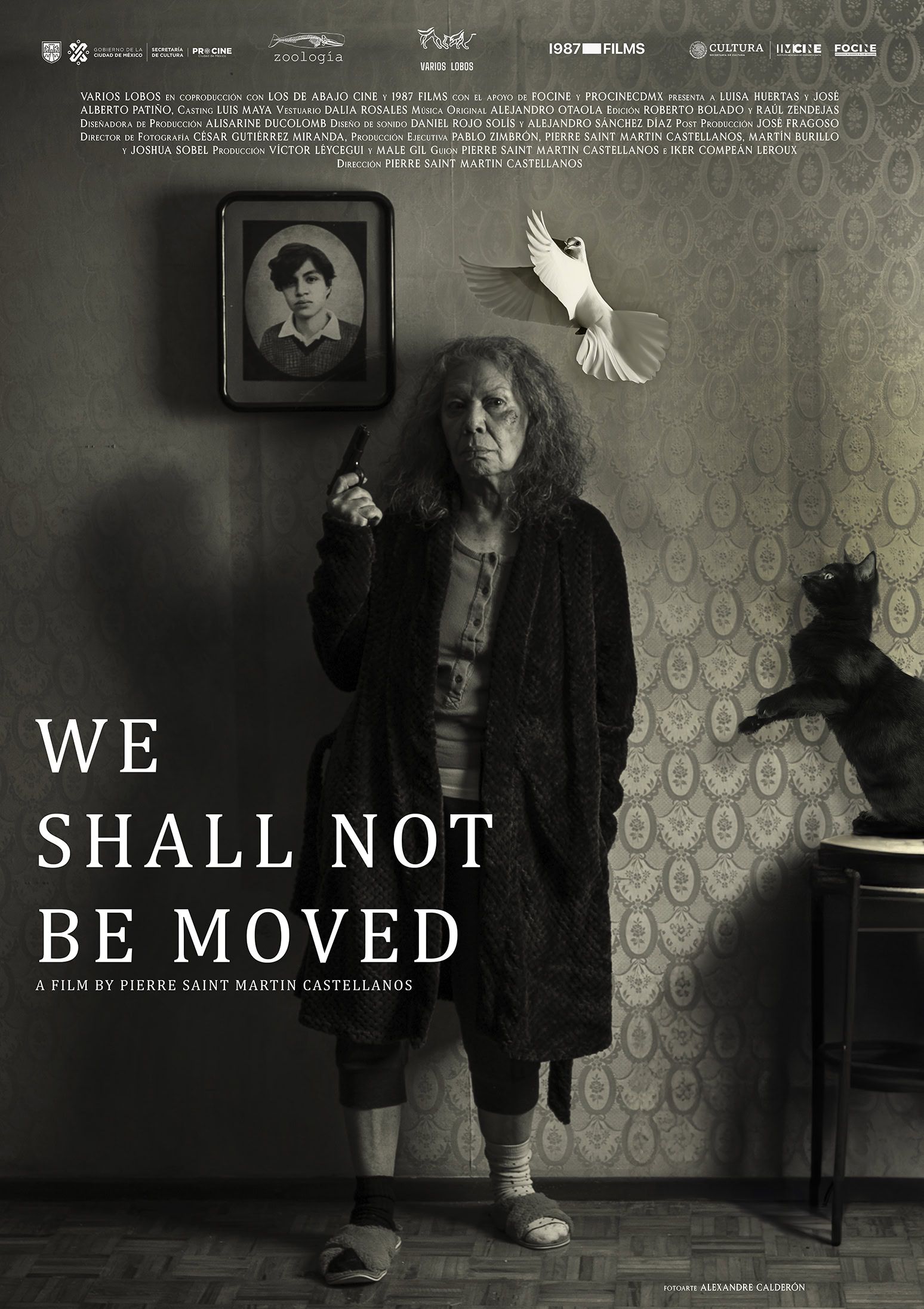 Poster: We Shall Not Be Moved